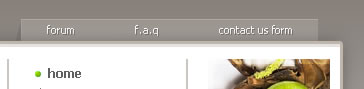 Creating a Website Template image 34