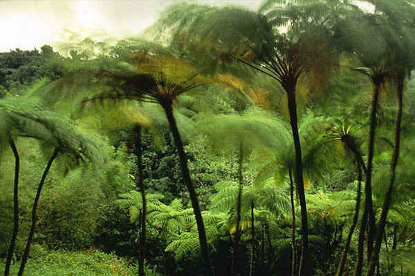 The Digital Modern Painting image 2