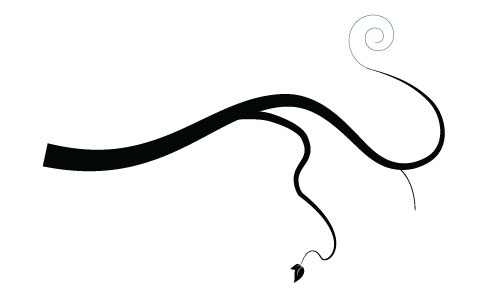 Simple Line Designs : Design with swirls and flourishes special effects