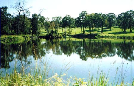 The Lake Tower image 1