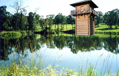 The Lake Tower image 3