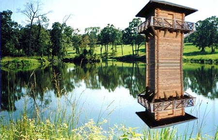 The Lake Tower image 5