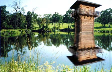 The Lake Tower image 6