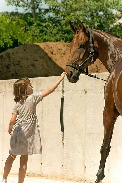 The Amazing Dissapearing Horse image 1