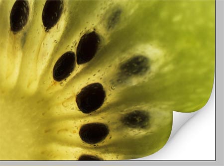 Create a Realistic Page Curl in Photoshop image 1