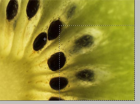 Create a Realistic Page Curl in Photoshop image 4