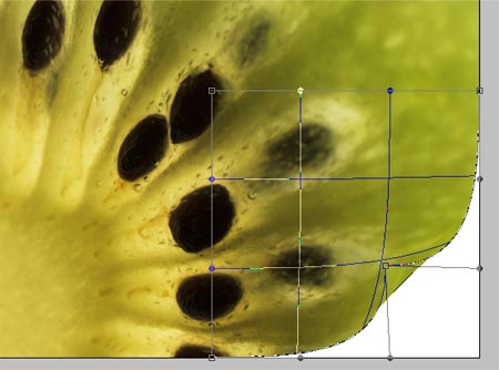 Create a Realistic Page Curl in Photoshop image 5