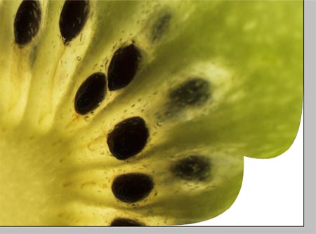 Create a Realistic Page Curl in Photoshop image 7
