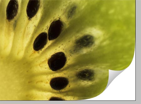 Create a Realistic Page Curl in Photoshop image 9