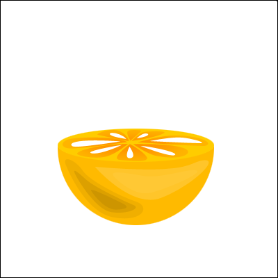 Orange Vector image 13