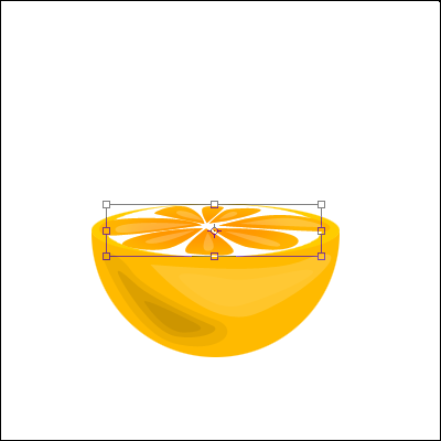 Orange Vector image 14