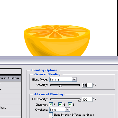 Orange Vector image 15