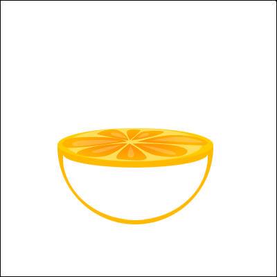 Orange Vector image 16