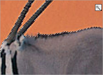 Types of Extraction in Photoshop image 4