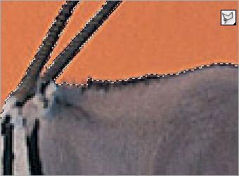 Types of Extraction in Photoshop image 5