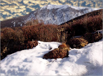 Creating your own Fairytale Scene image 4