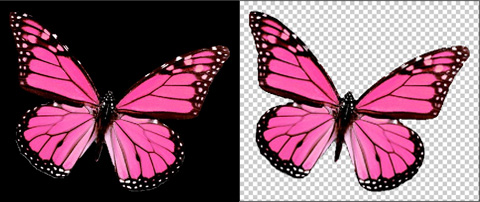 Magic Flying of the Butterfly image 32