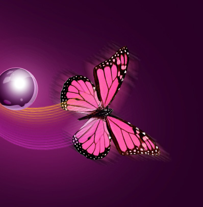 Magic Flying of the Butterfly image 35
