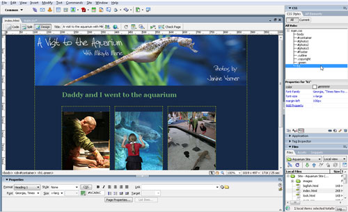 Troubleshooting CSS in Dreamweaver image 1