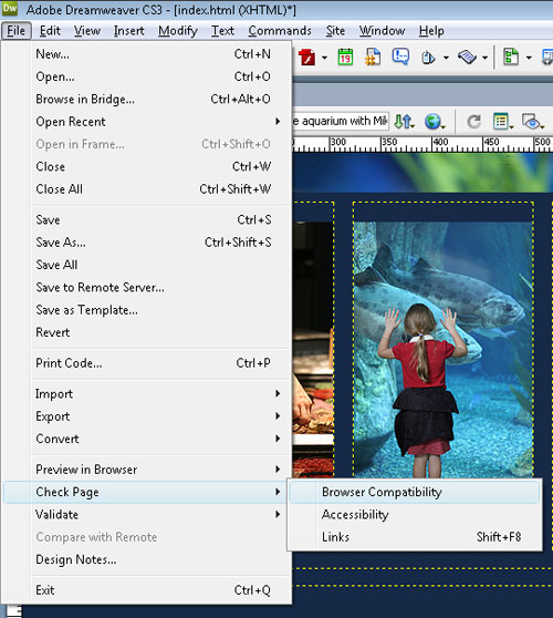 Troubleshooting CSS in Dreamweaver image 12