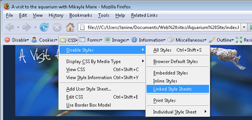 Troubleshooting CSS in Dreamweaver Tutorial: Final Result