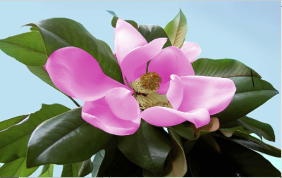 Change Color with Hue/Saturation image 4