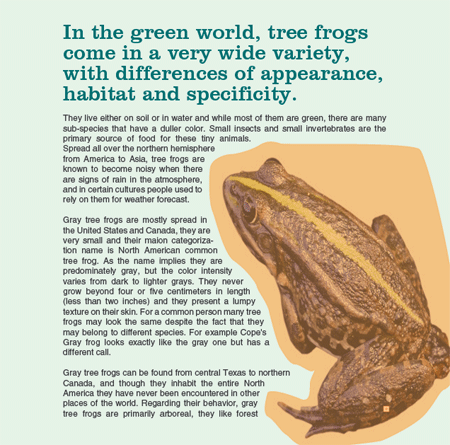 Wrapping Text Around an Image in Illustrator image 9