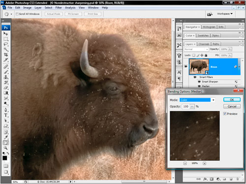 Nesting Smart Objects for Multimask Effects in Photoshop image 4