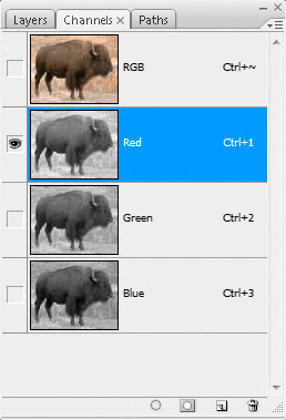 Nesting Smart Objects for Multimask Effects in Photoshop image 5