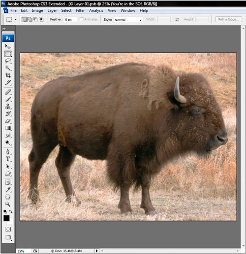 Nesting Smart Objects for Multimask Effects in Photoshop image 10