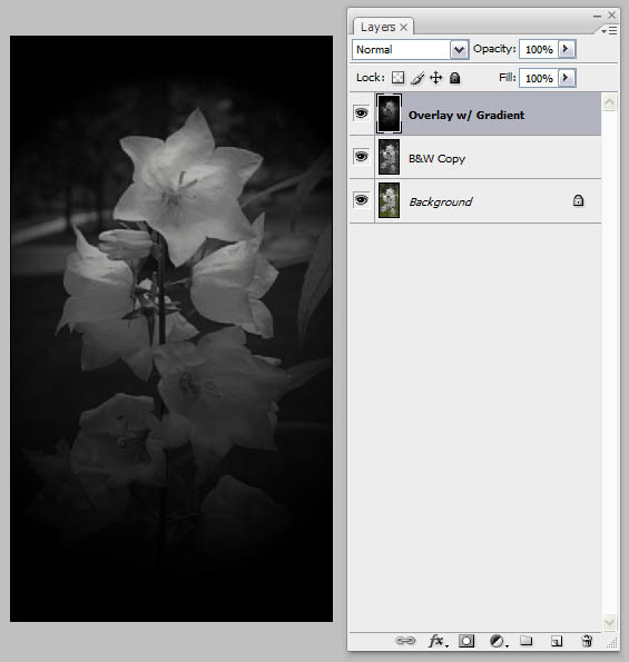 Digital Painting with Light image 4