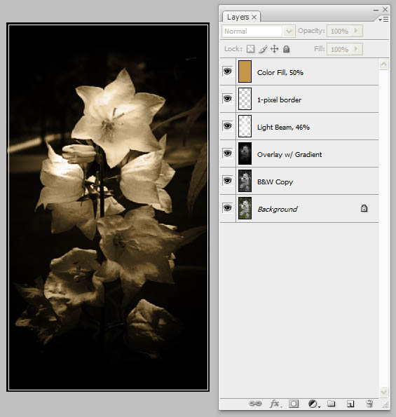 Digital Painting with Light image 8
