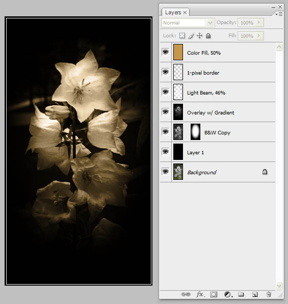 Digital Painting with Light image 9