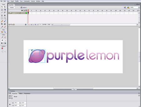 Animate a Logo in Flash image 4