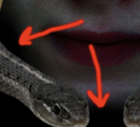 Creating Medusa With Photo Manipulation image 18
