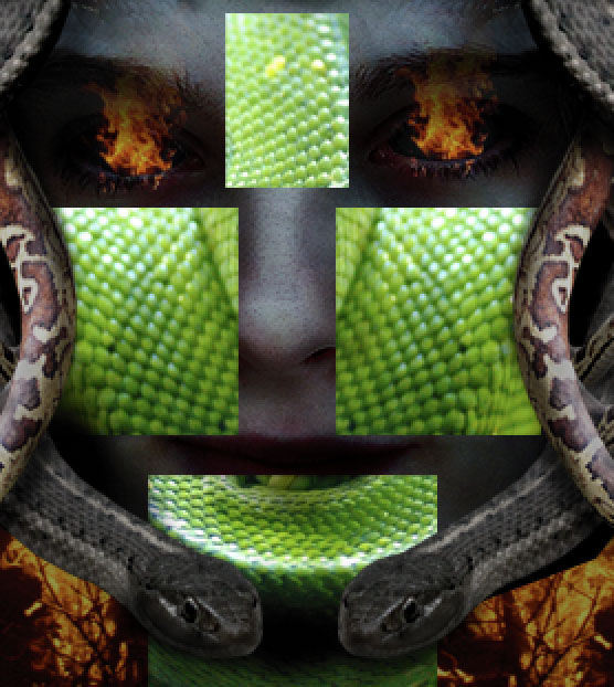 Creating Medusa With Photo Manipulation image 27