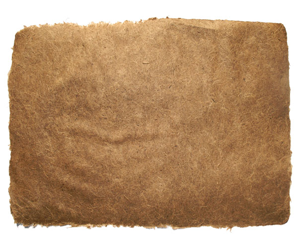 Design an Old-Style Safari Map image 1
