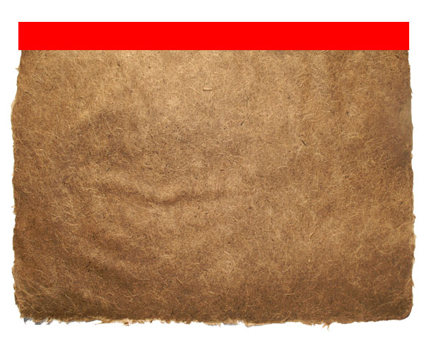 Design an Old-Style Safari Map image 3