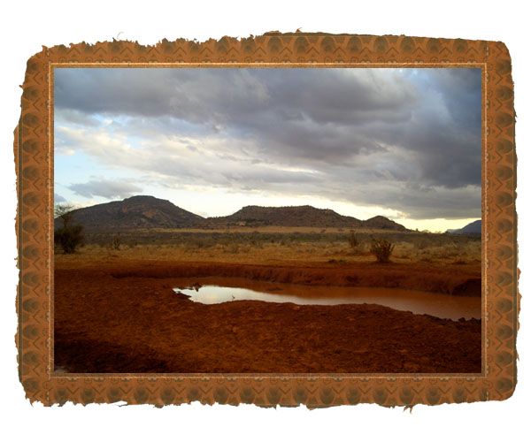Design an Old-Style Safari Map image 10