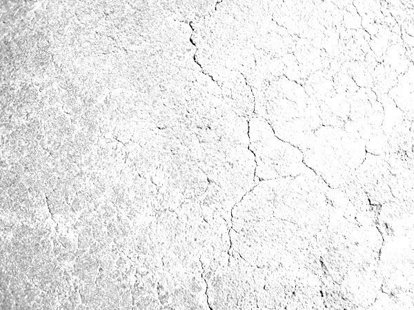 Design a Grungy Circular Logo image 14