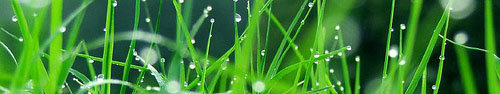 Vista Style Layout image 1