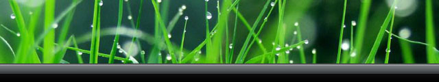 Vista Style Layout image 5