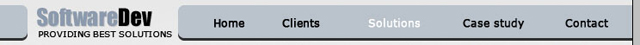 Web 2.0 Software Development Layout image 28