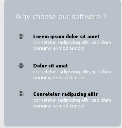 Web 2.0 Software Development Layout image 38