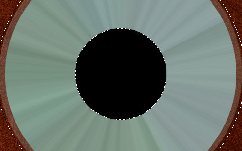 How to Make Real Compact Disc image 13