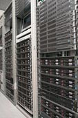 Basic Services of Web Hosting