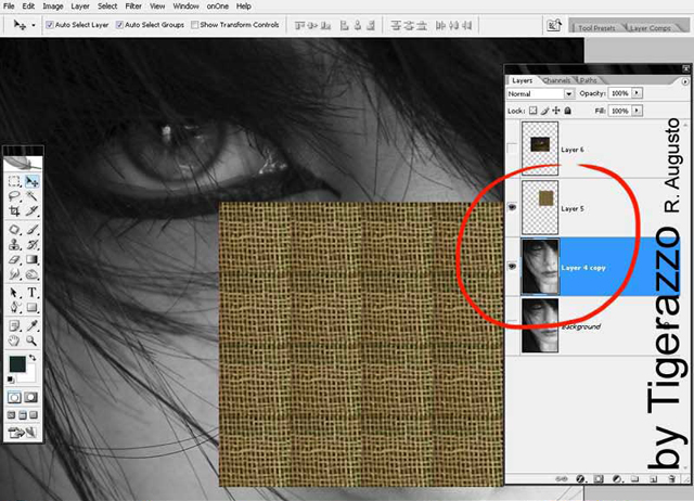 Rag Skin using Adobe Photoshop image 1