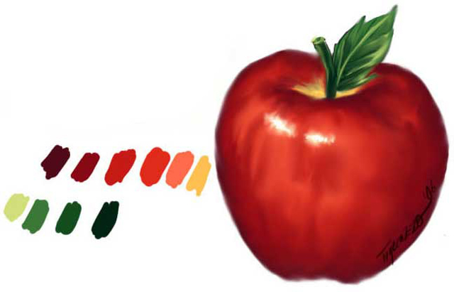 Painting an Apple in Photoshop CS Tutorial: Final Result