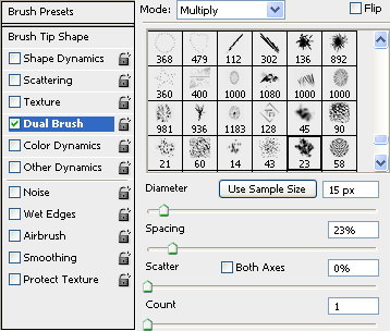 dual brush