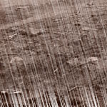 Rain Effects image 6